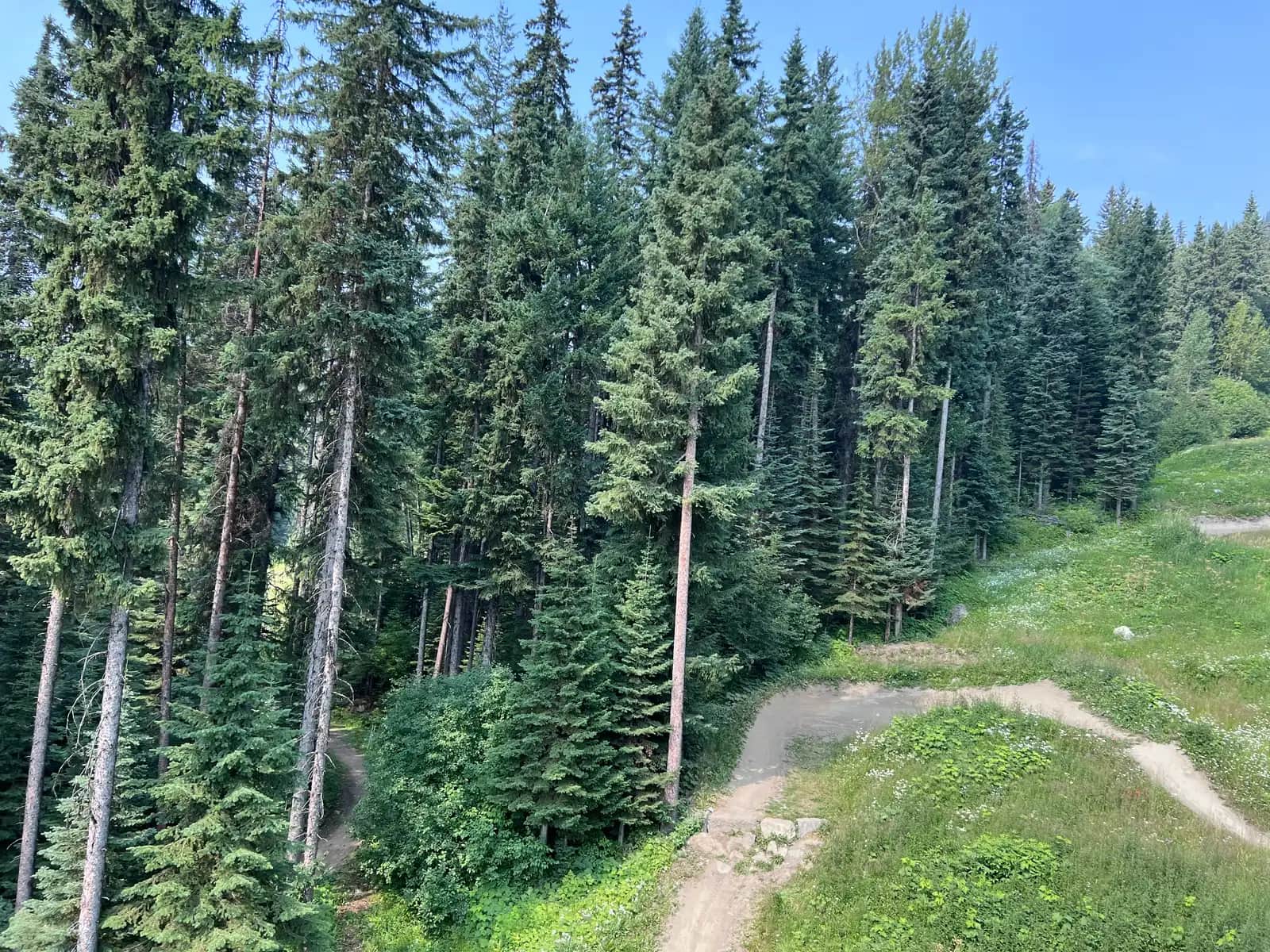 Golf course and alpine summer scenery at Sun Peaks, British Columbia, Canada - Sun Peaks Resort