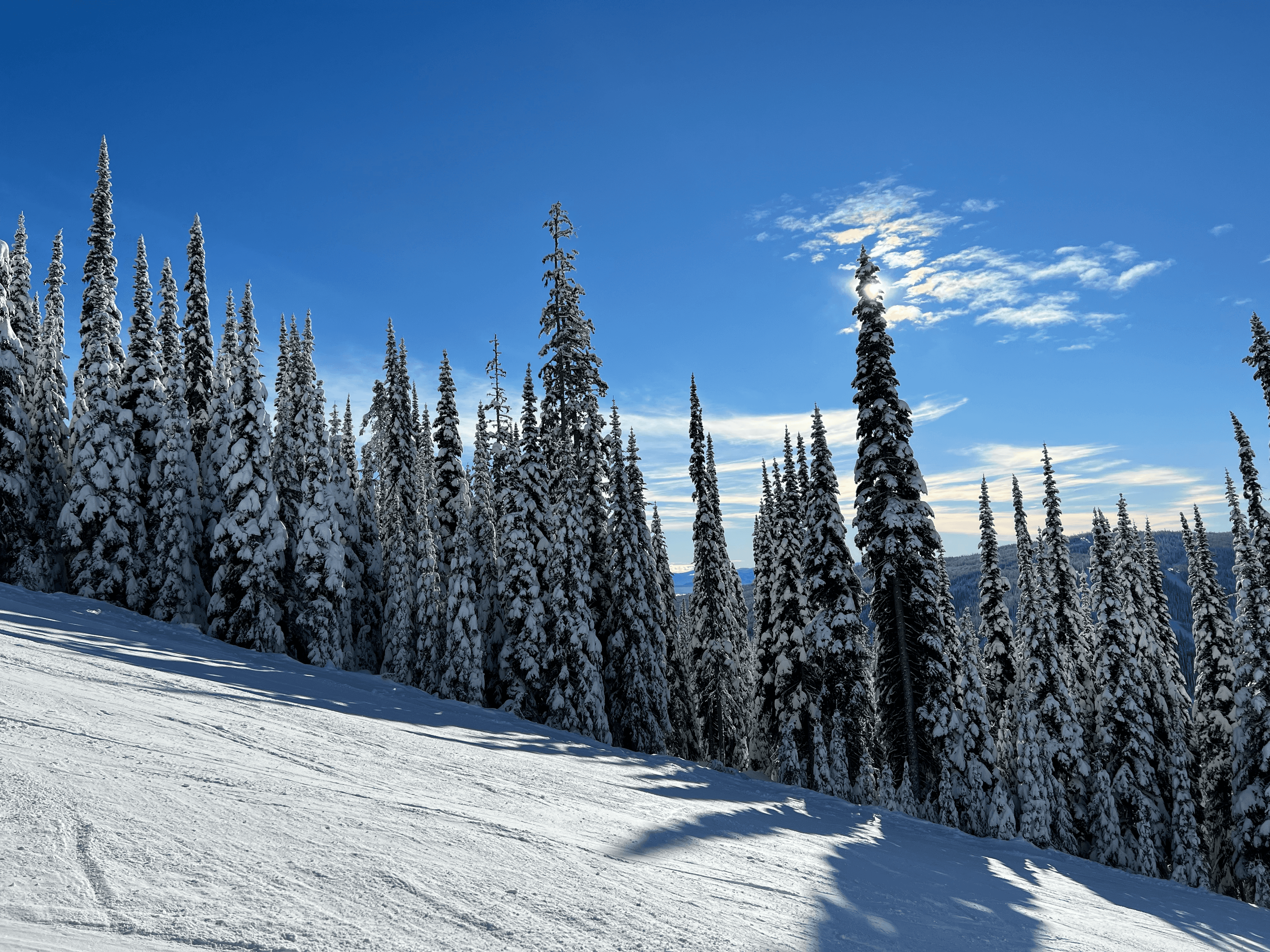 Fresh snow and alpine winter scenery at Sun Peaks Resort, BC, Canada