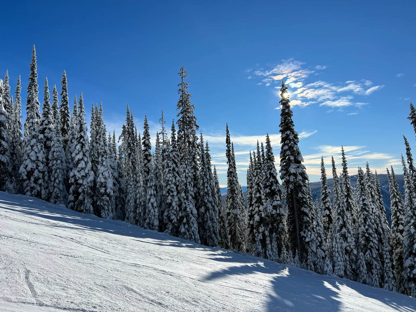 Fresh snow and alpine winter scenery at Sun Peaks Resort, British Columbia, Canada