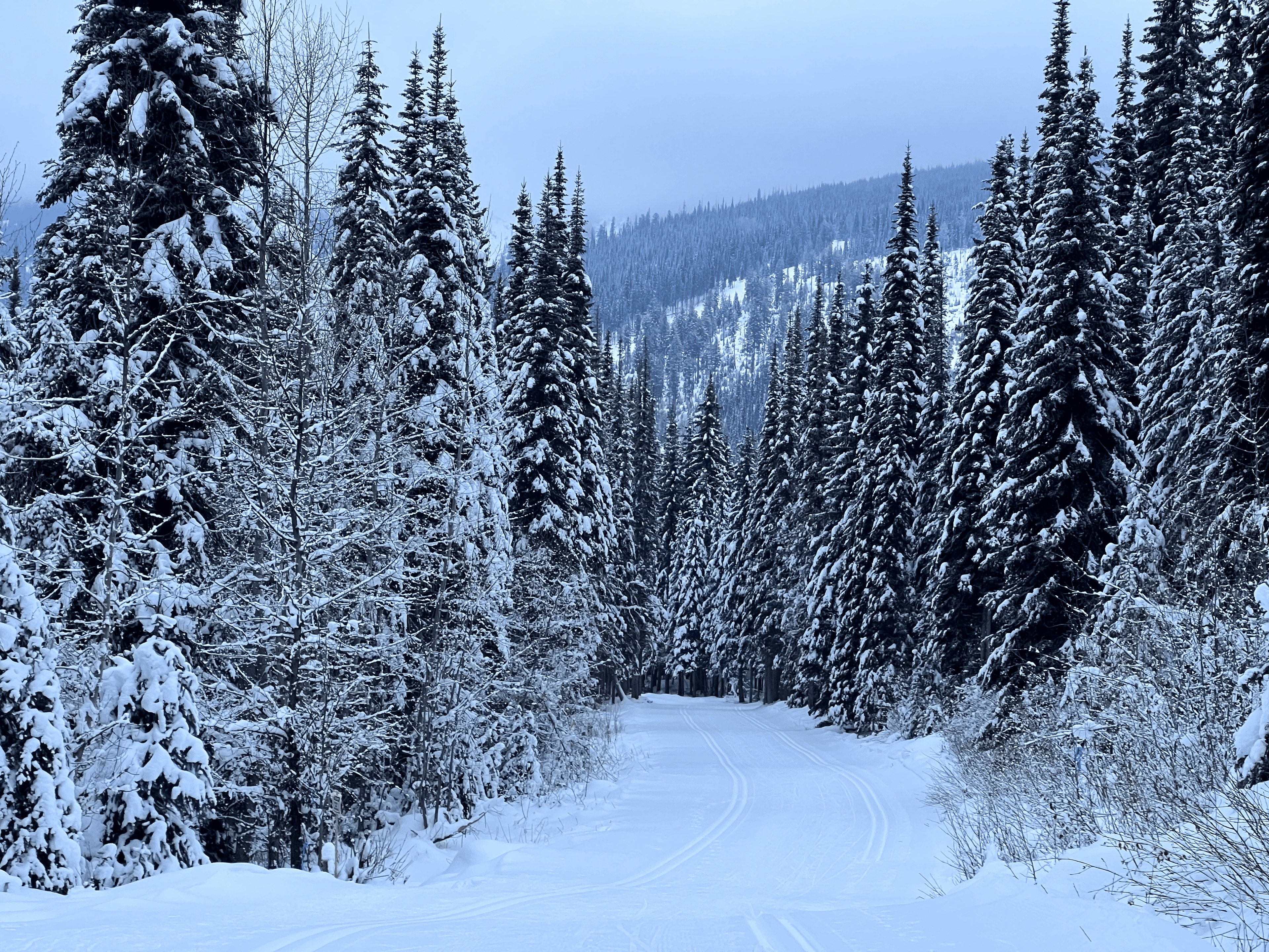 Ski terrain and village winter views, Sun Peaks, BC, Canada