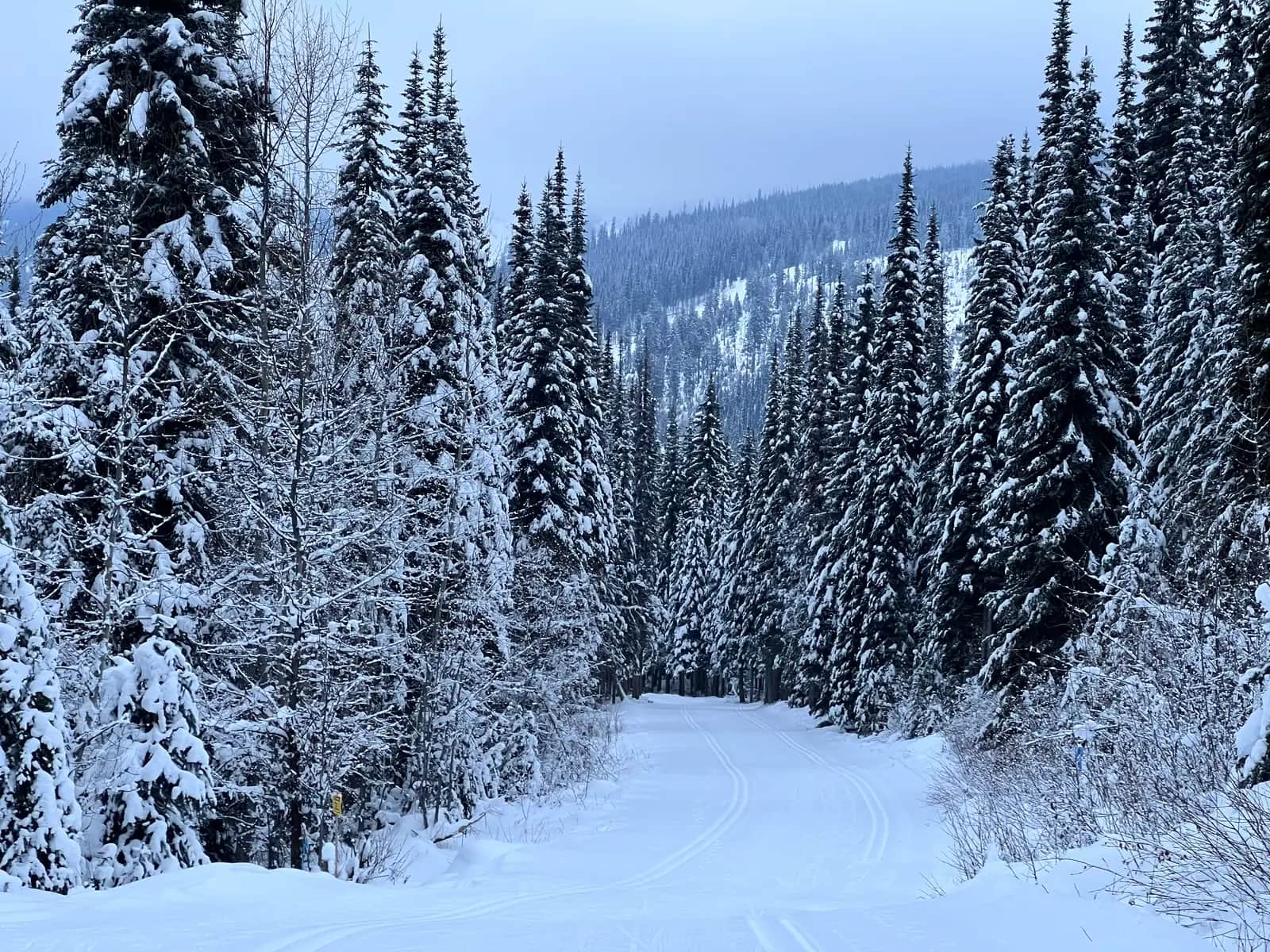 Ski terrain and village winter views, Sun Peaks, British Columbia, Canada